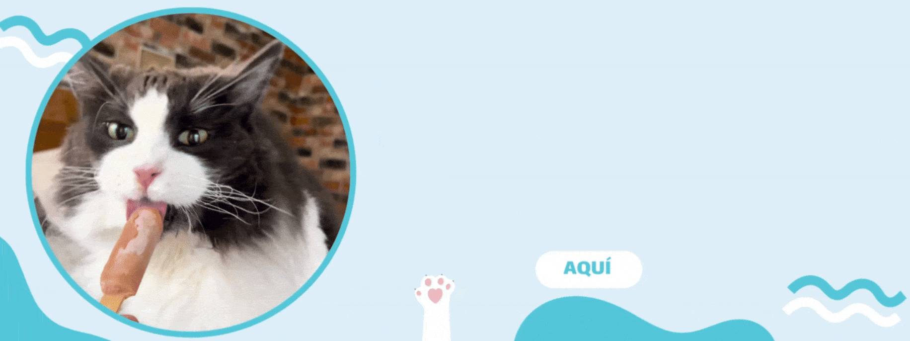 helado para gatos