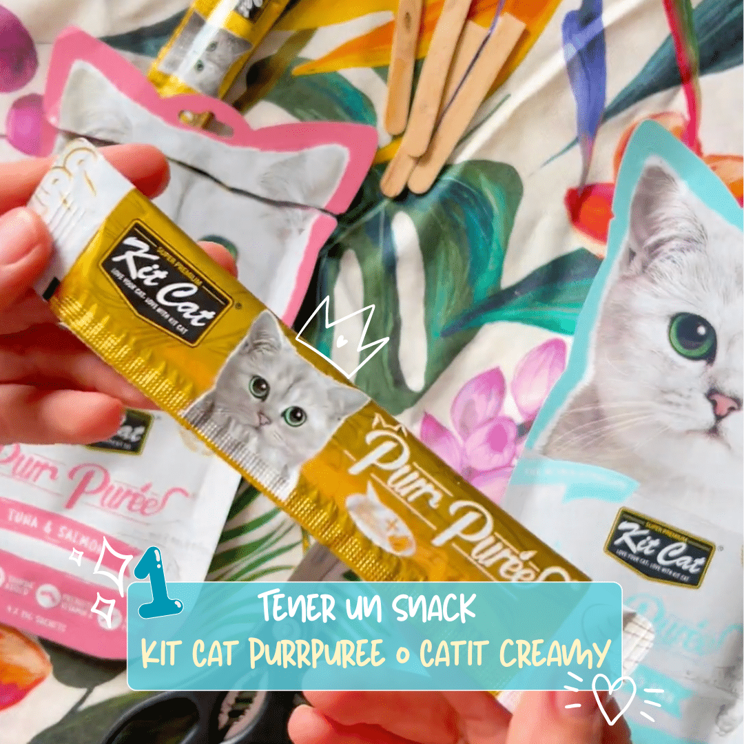 prepara helado para gato con kit cat purpuree o catit creamy