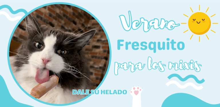helado para gatos con Doggytud-blog