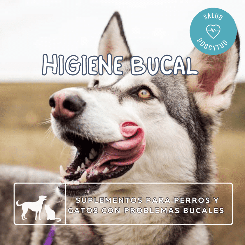 Higiene Bucal