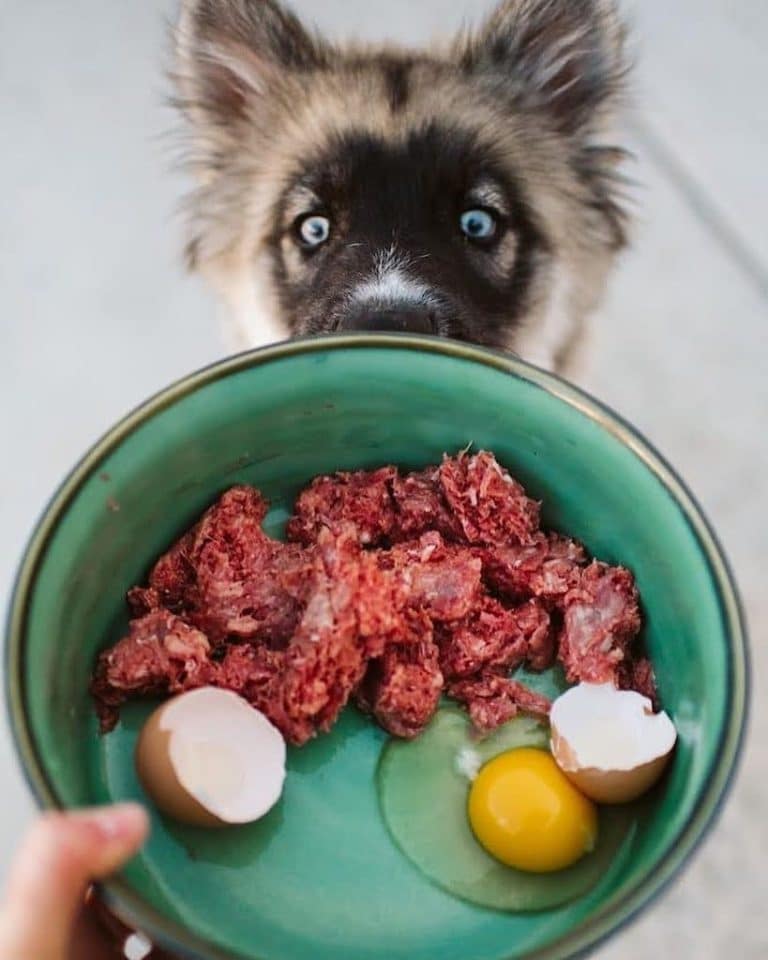 Alimentación natural BARF