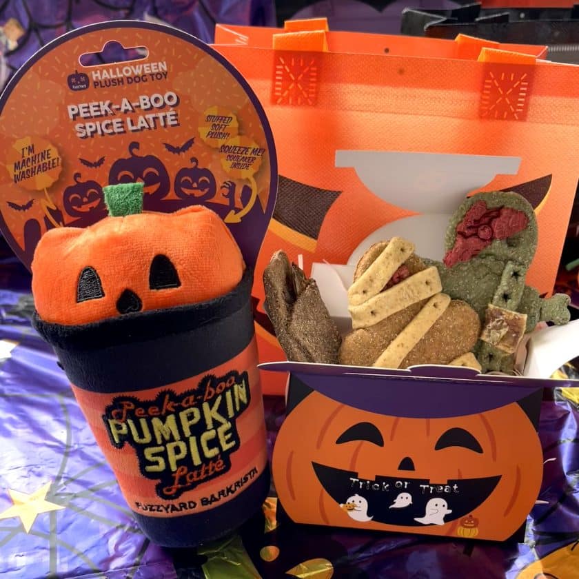 Halloween pack galletas y peluche para perros