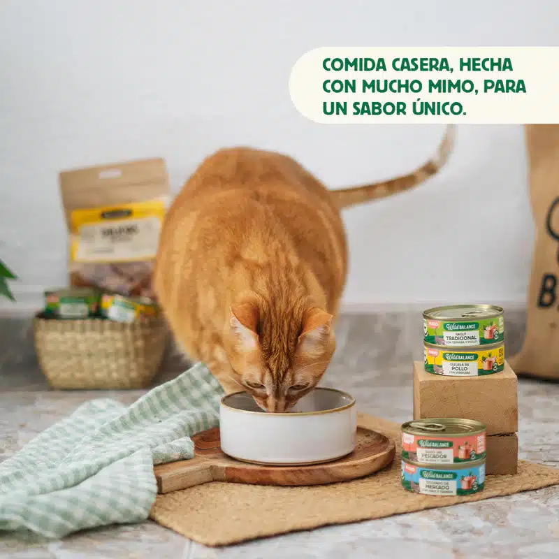 Alimentación natural para perros y gatos Las Recetas del Chef- Lata de Cazuela de Pollo para gatos
