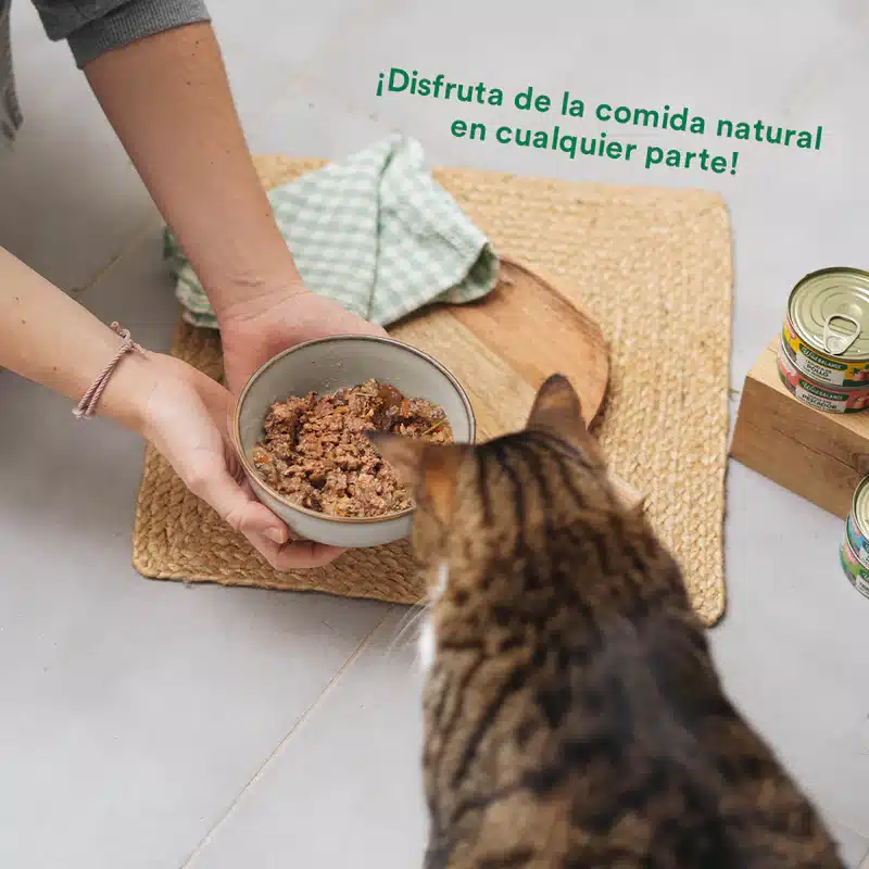 Alimentación natural para perros y gatos Las Recetas del Chef- Lata de Estofado de Mercado para gatos