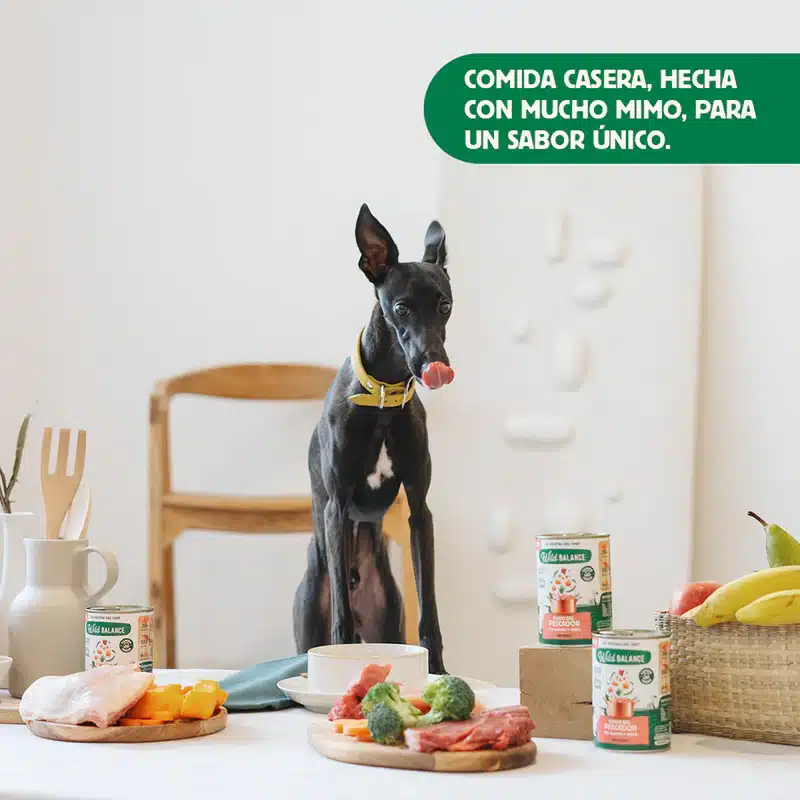 Las Recetas del Chef - Lata de Guiso del Pescador para perros