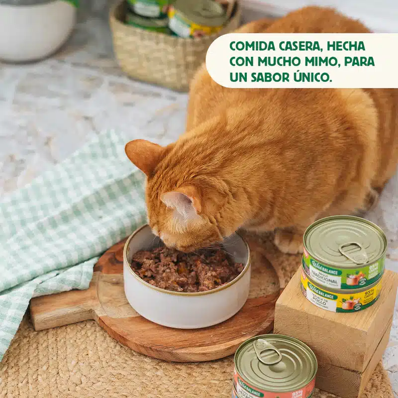Alimentación natural para perros y gatos Las Recetas del Chef- Lata de Guiso del Pescador para gatos