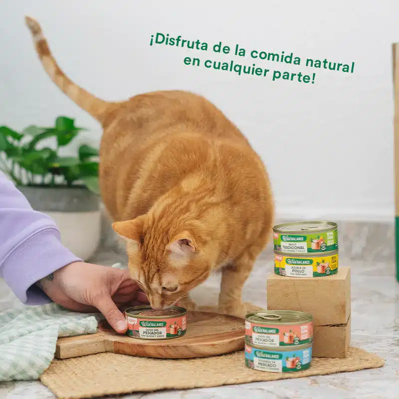 Alimentación natural para perros y gatos Las Recetas del Chef- Lata de Guiso del Pescador para gatos