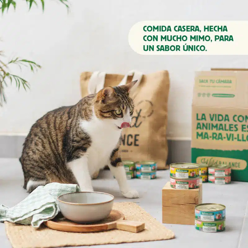 Las Recetas del Chef- Lata de Ragut Tradicional para gatos