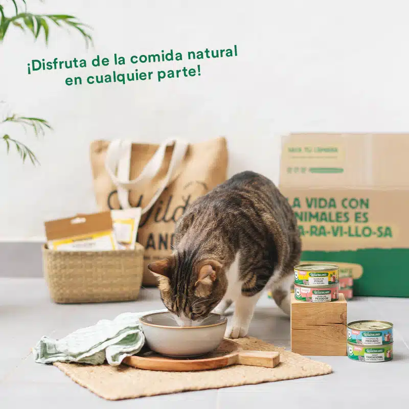 Las Recetas del Chef- Lata de Ragut Tradicional para gatos