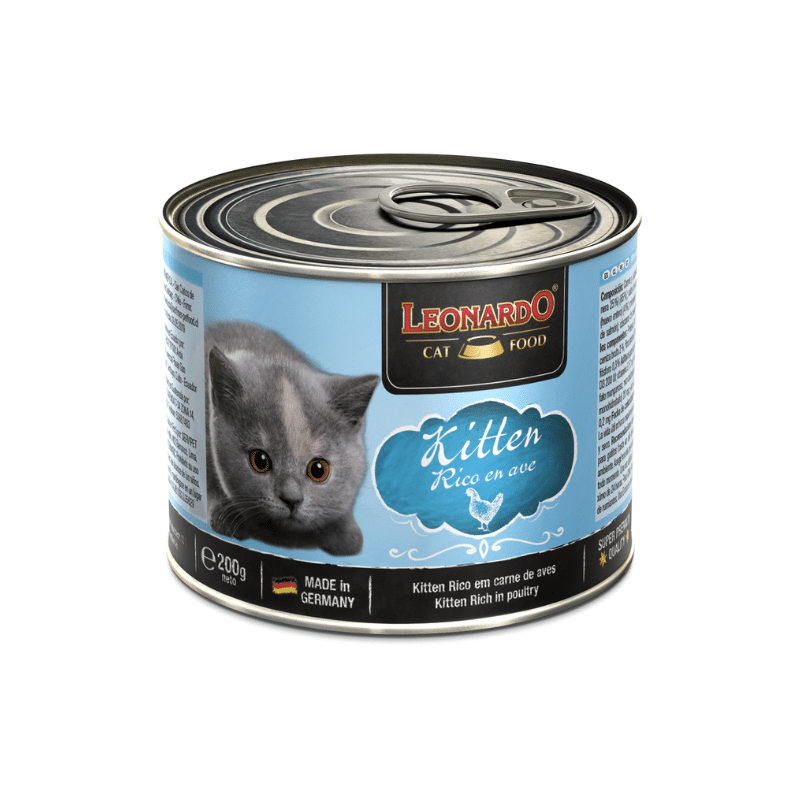 Leonardo Kitten con ave