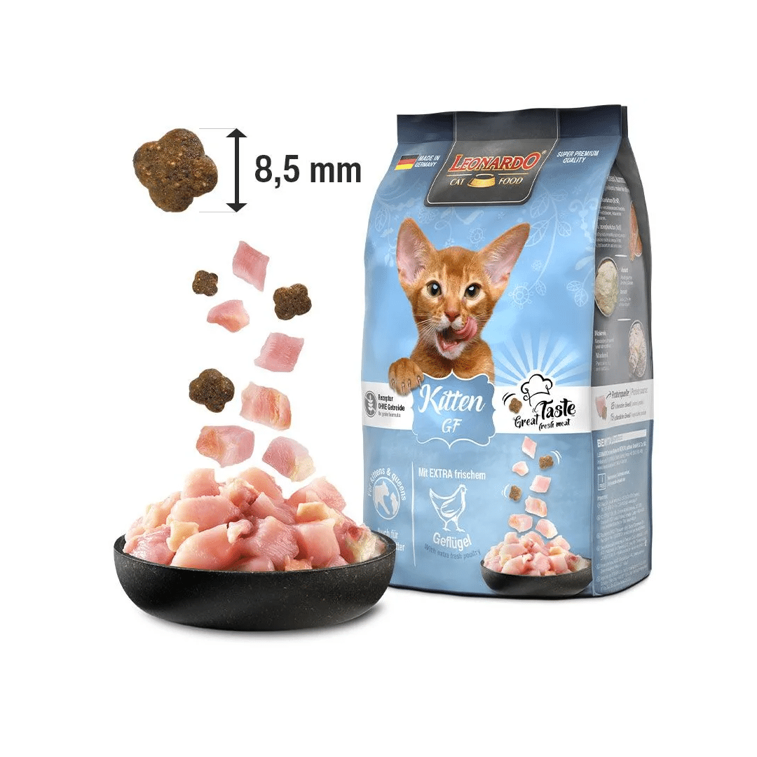 leonardo kitten gf sin cereales