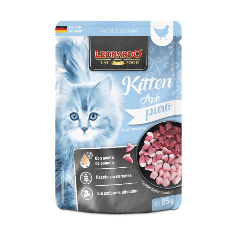 Leonardo Kitten con ave