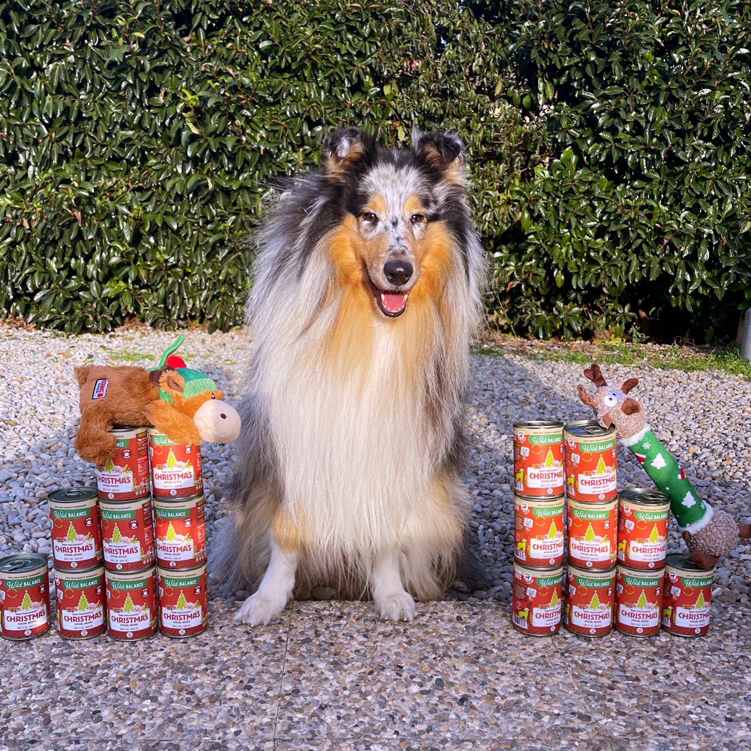 Luke con Latas receta Navidad