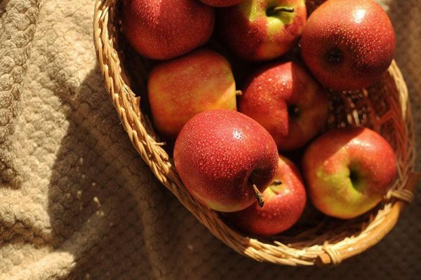 manzana