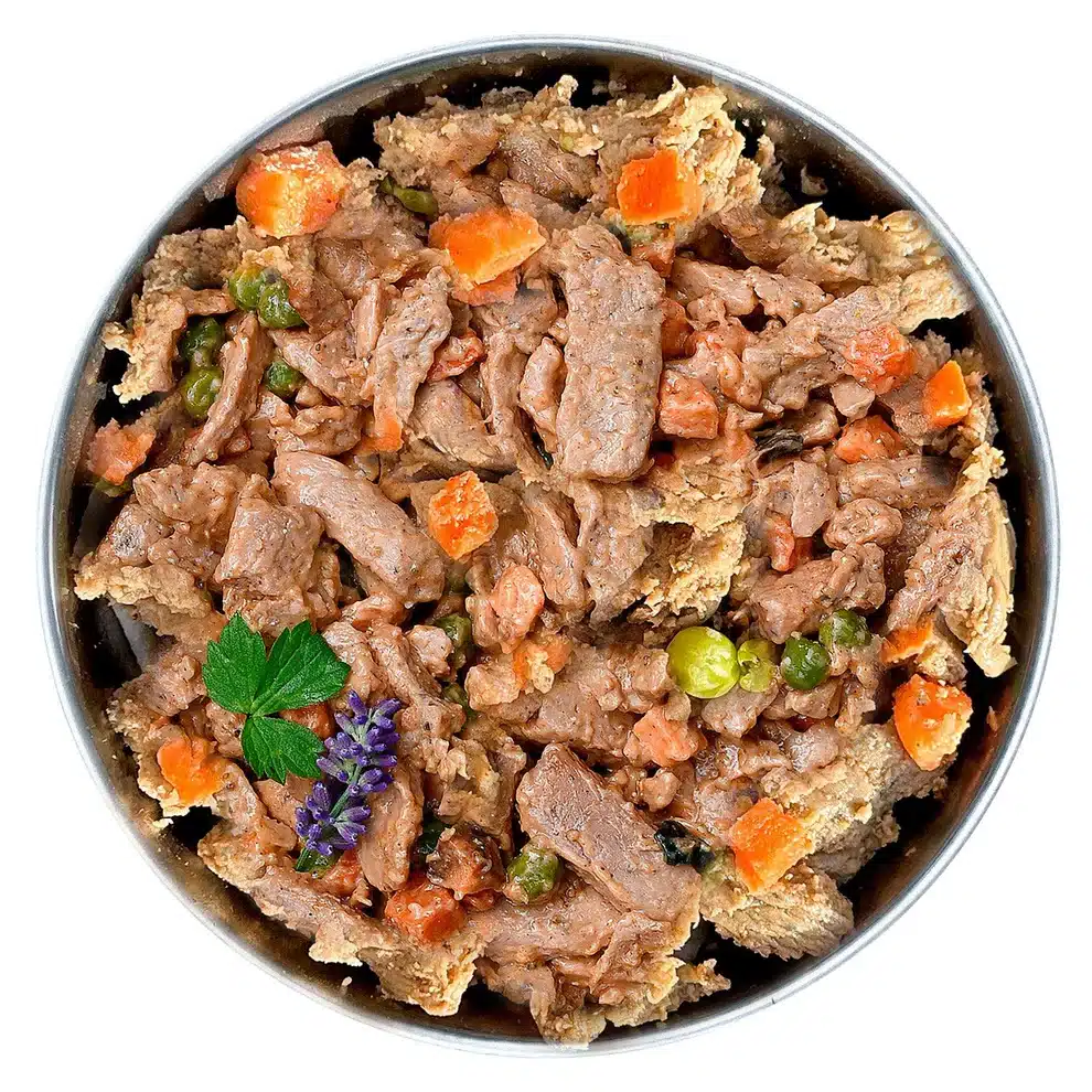 menú fresco de salmón para perros