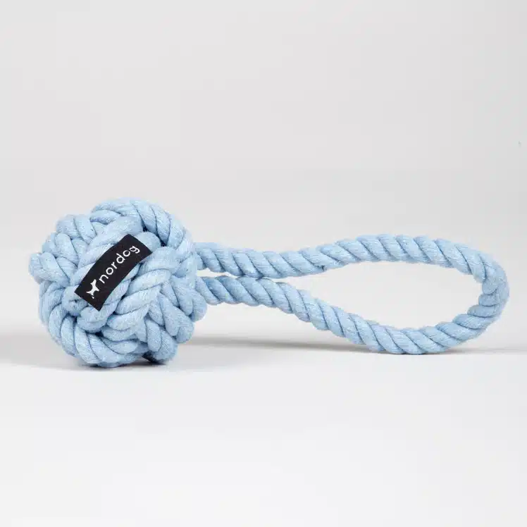 Nudo Azul - nor dog