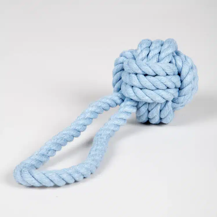 Nudo Azul - nor dog