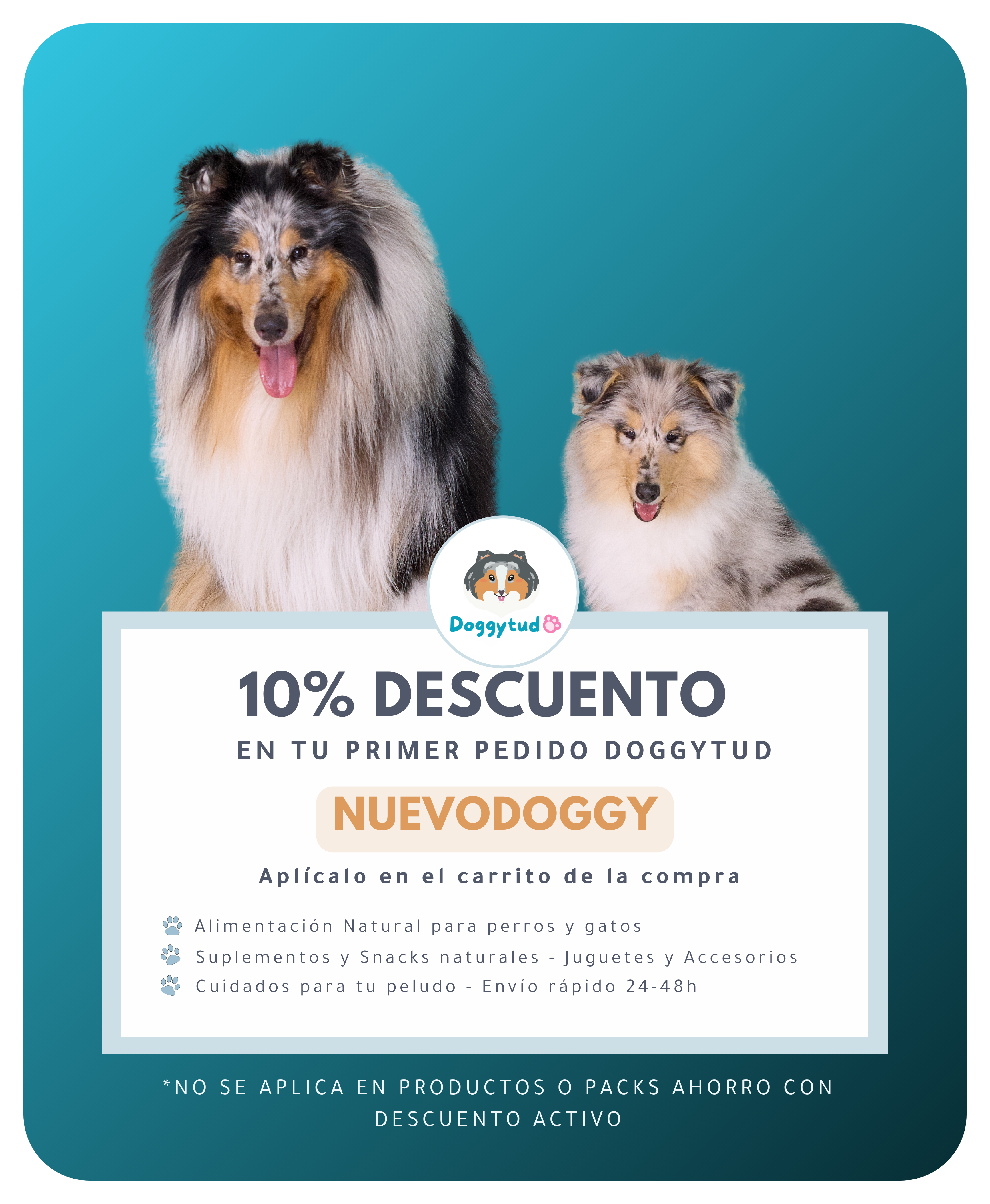 NUEVODOGGY - descuento primer pedido en Doggytud