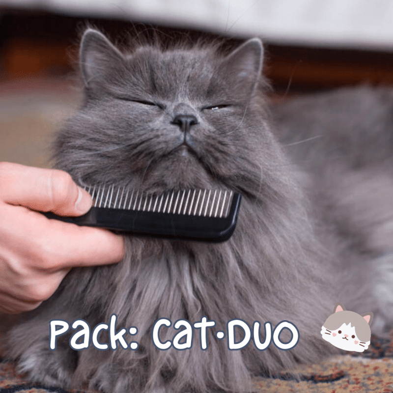 Pack Peines Cat·Duo