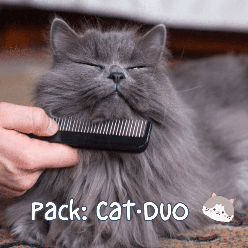 Pack Peines Cat·Duo