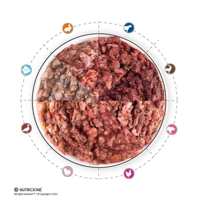 Nutricione - Menú Completo - BARF Perro - Pack Degustación