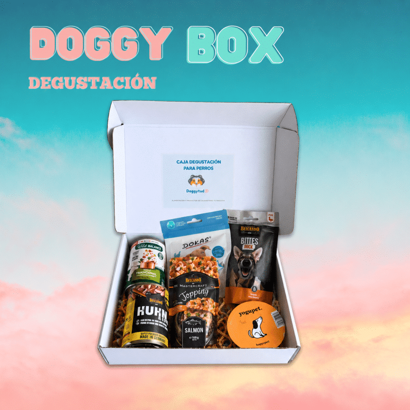 Caja degustación para perros con productos de calidad