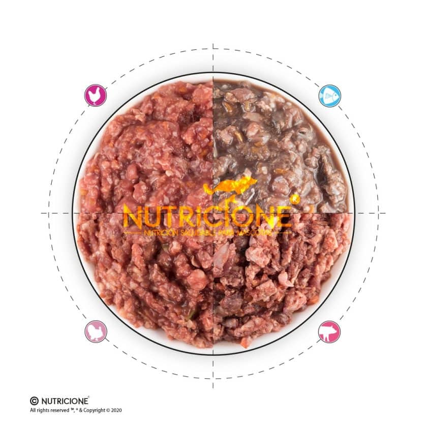Nutricione - Menú Completo - BARF Perro - Pack Iniciación