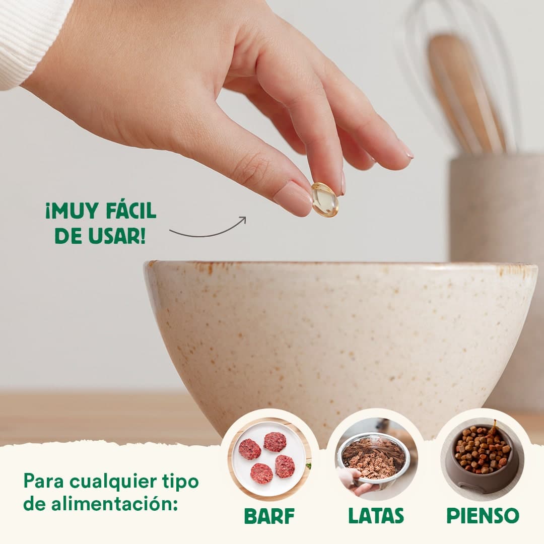 Administración Cápsulas Omega3