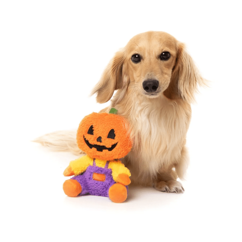 Peluche Halloween Calabaza para perros