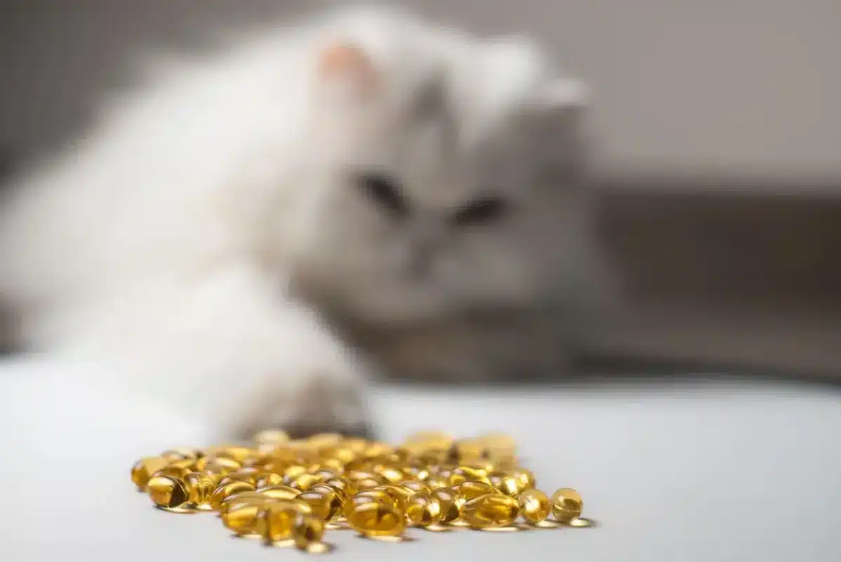 capsulas de omega 3 para gatos y perros