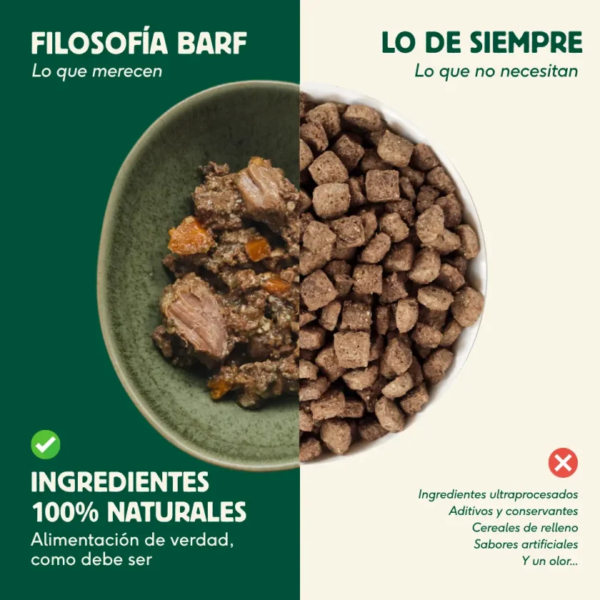 comparativa comida natural para perros con procesada