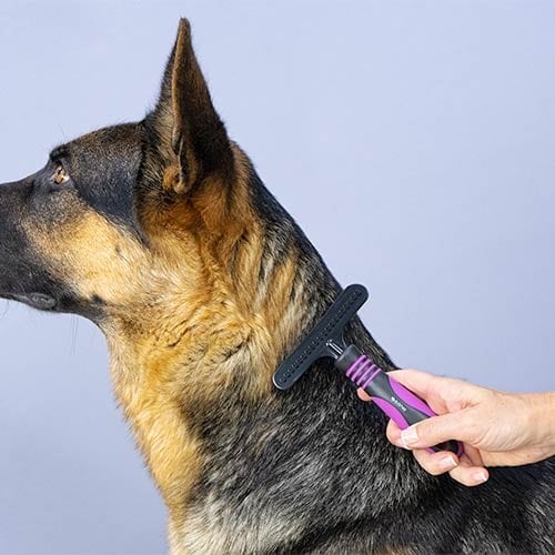 Rastrillo Extrafuerte para perros y para gatos