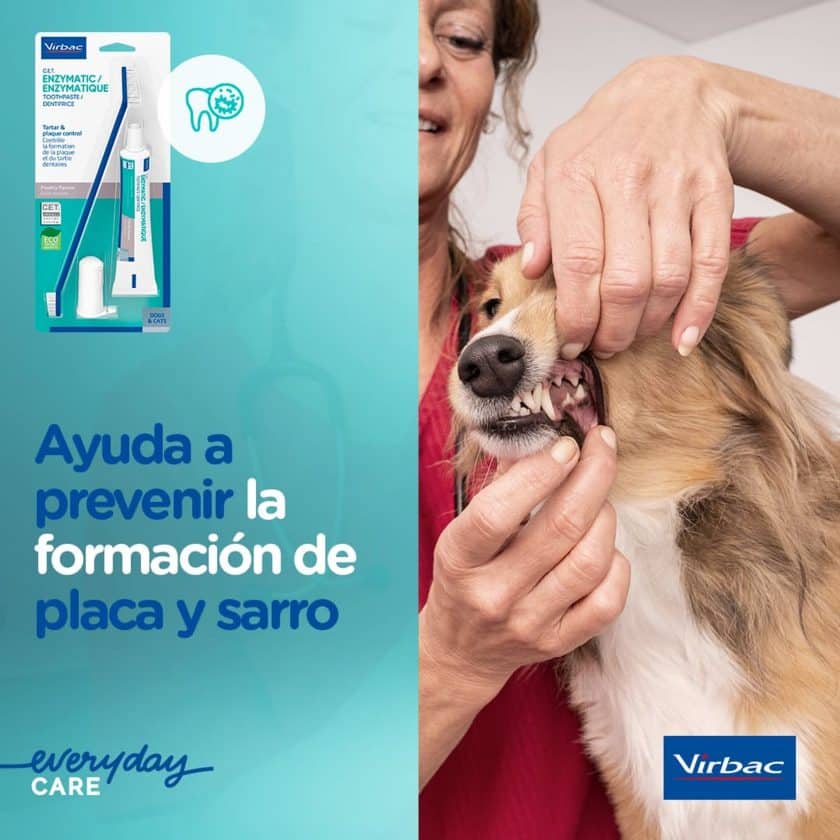 Previene Sarro y Placa dental