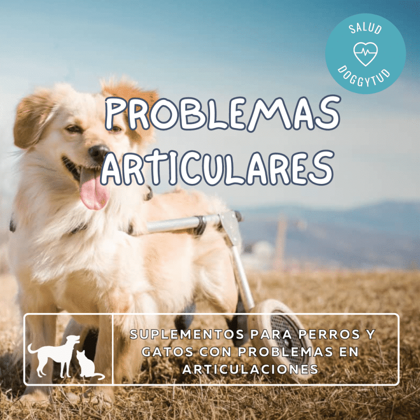 Problemas Articulares