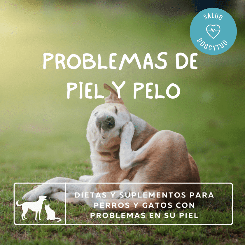 Problemas de Piel y Pelo