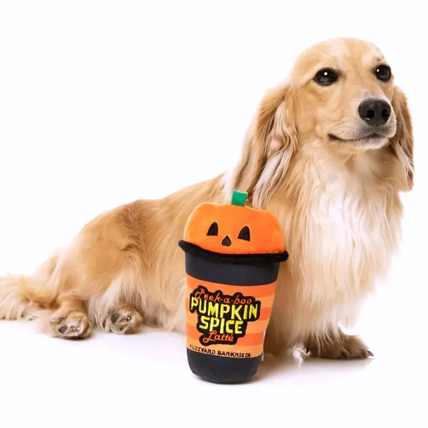 dog with pumpkin spice late Fuzzyard