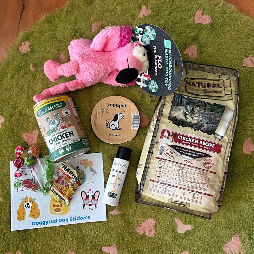 Puppy Box con peluche Flamenco para perros. caja regalo perros