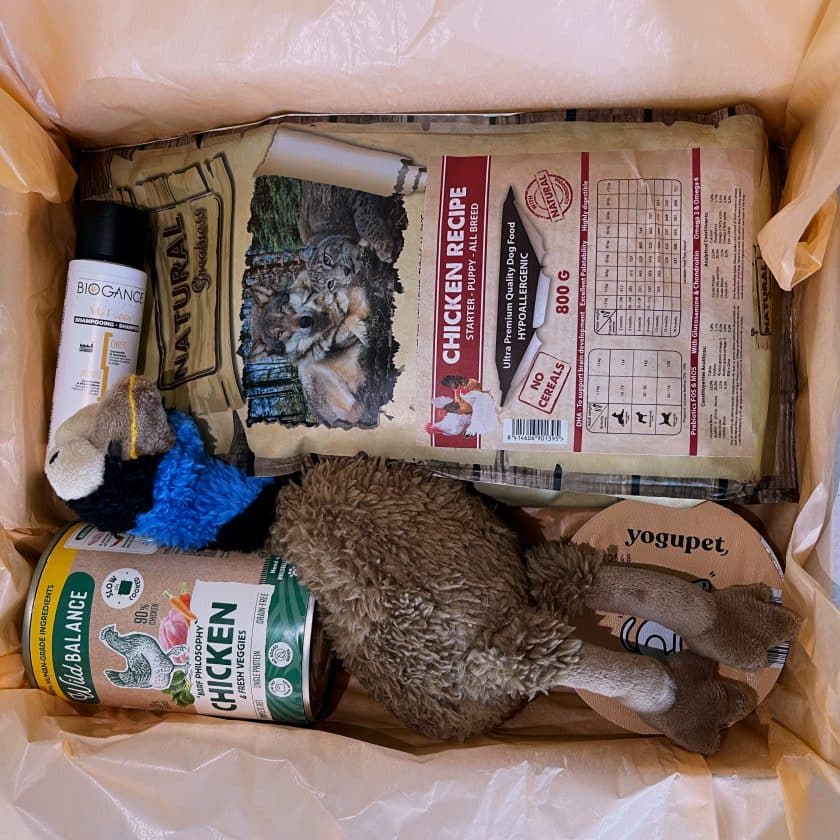 puppy box contenido2