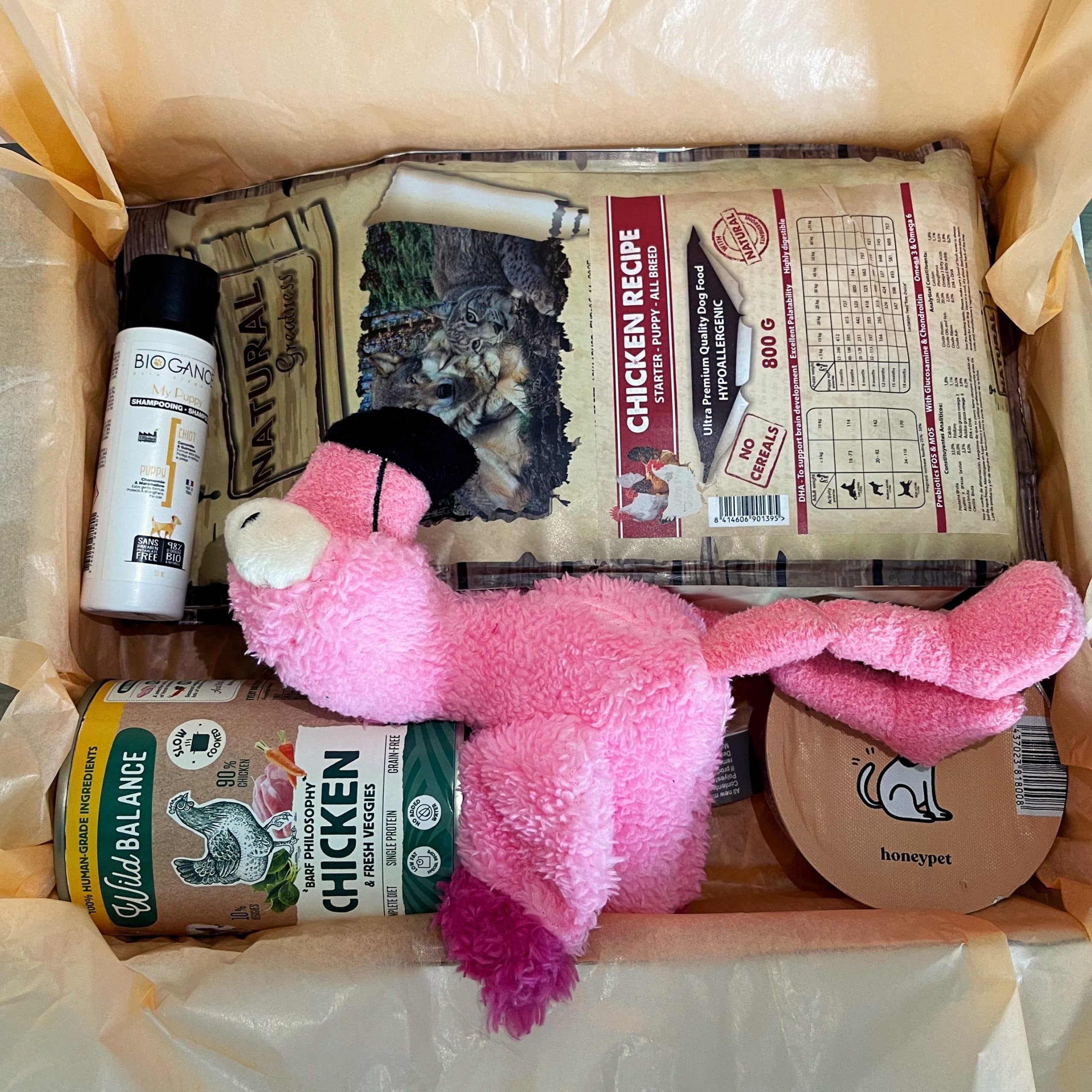 puppy box contenido3 scaled