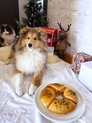 Alimentación natural para perros y gatos Roscón de Reyes para Perros