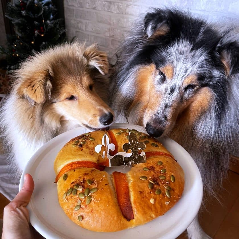Perros y roscón de reyes de navidad
