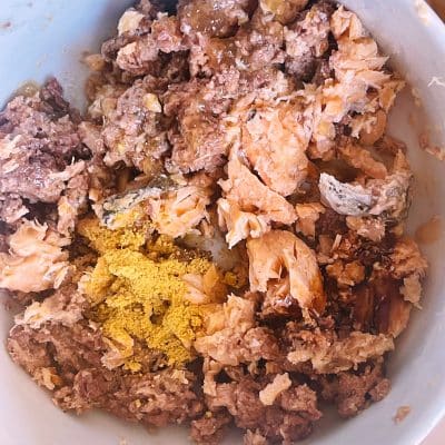 Lata de Salmon cocinado para perros con suplemento de Calabaza