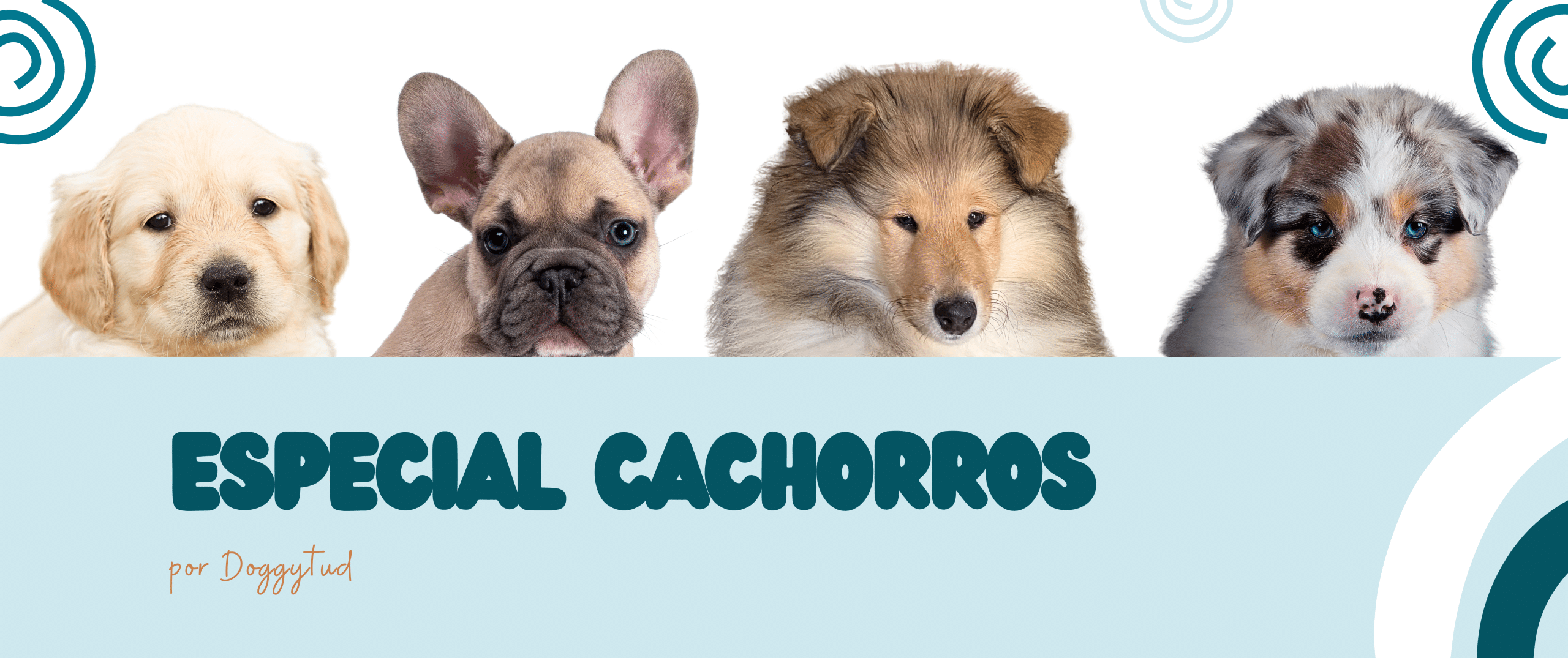 Productos Especial para Cachorros . Tienda de comida natural para cachorros. Puppy food.