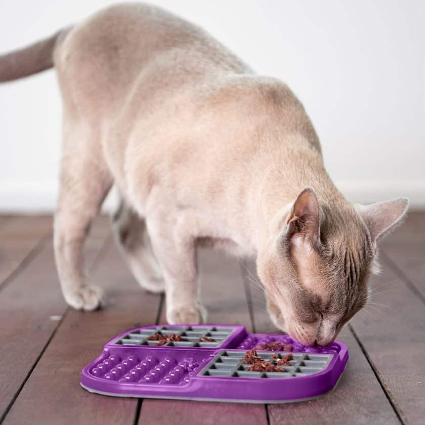 LickiMat® Slomo LickiMat® Slomo gato