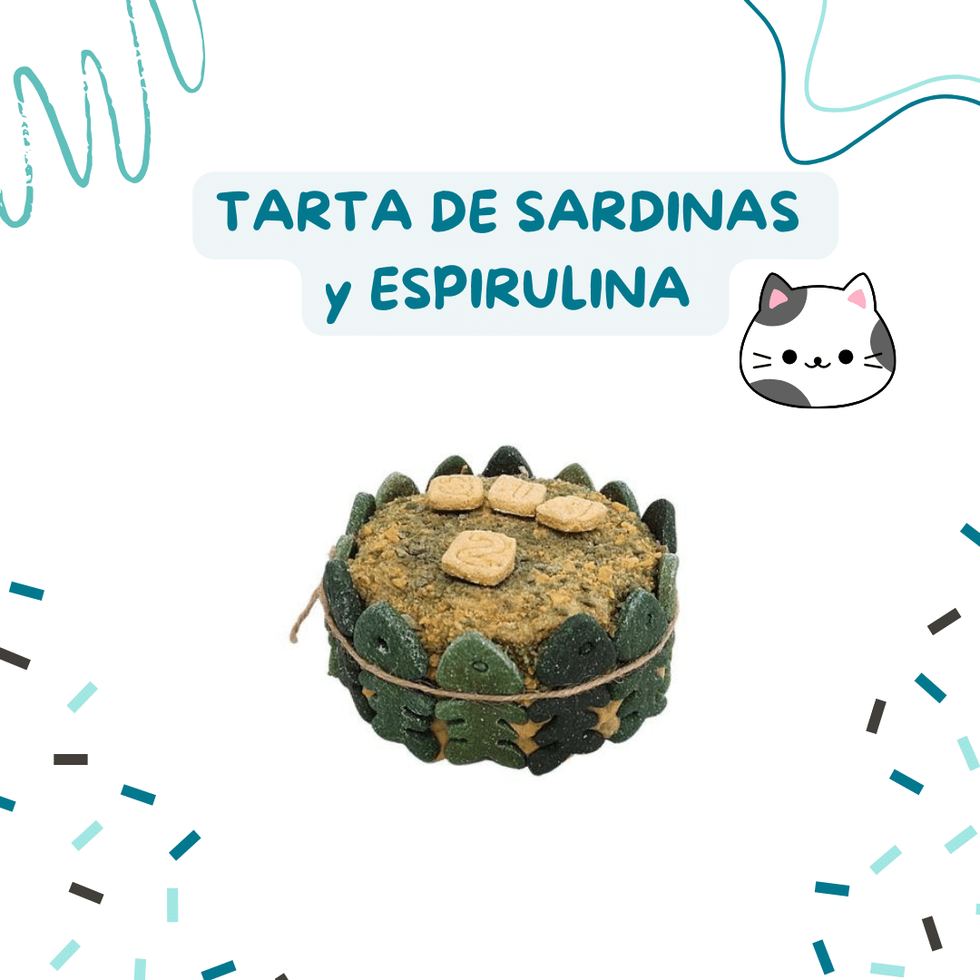 Tarta para gatos de Sardina y Espirulina Artesanal y casera