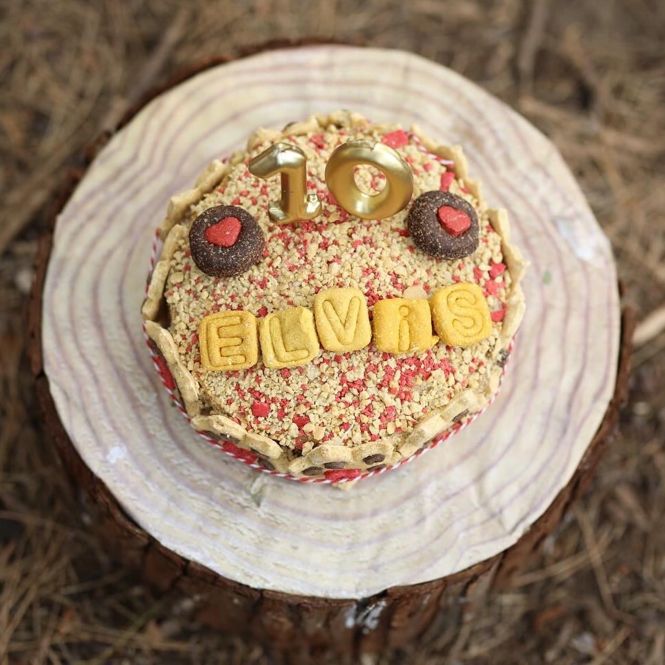 Tarta para perros cumple
