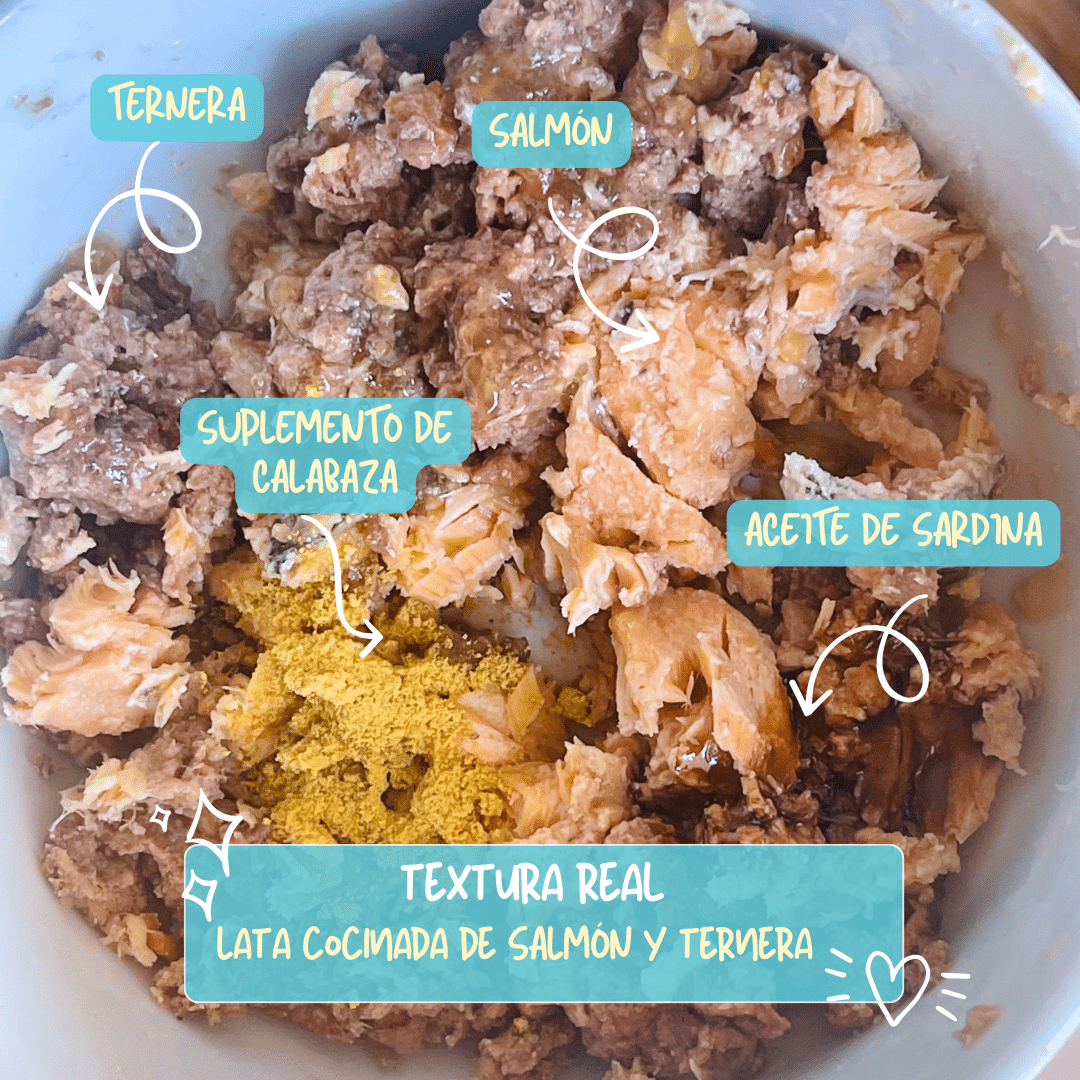 textural real comida cocinada para perros