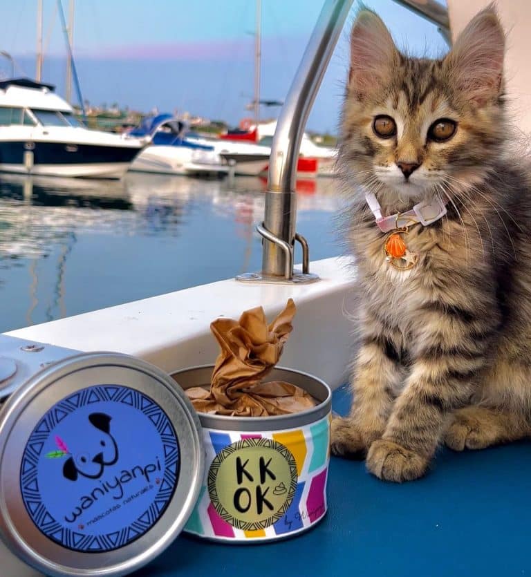Suplementos naturales para gatos