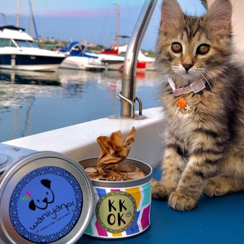 Suplementos para gatos