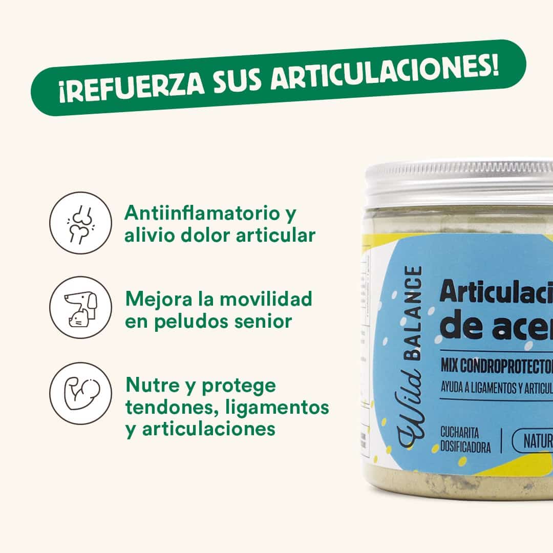 Articulaciones de Acero - WB